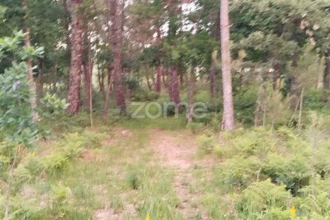 Helårsgrund i Mangualde, Viseu, Mangualde - € 35.000 | Ref: ZMPT589103 - foto 6