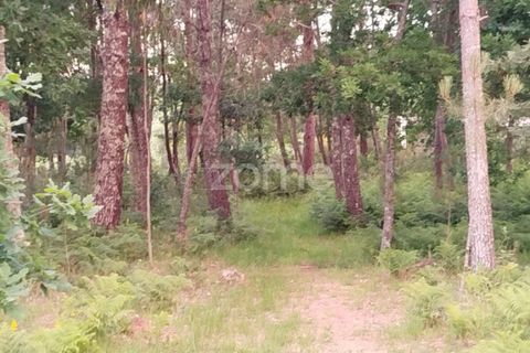 Helårsgrund i Mangualde, Viseu, Mangualde - € 35.000 | Ref: ZMPT589103 - foto 7