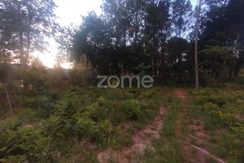 Helårsgrund i Mangualde, Viseu, Mangualde - € 35.000 | Ref: ZMPT589103 - foto 8