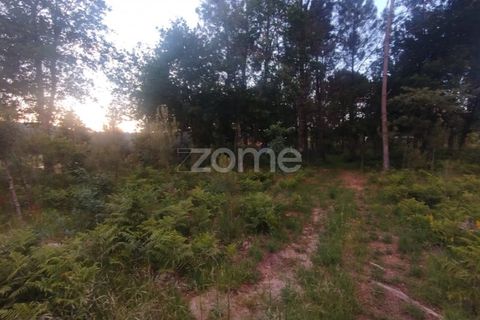 Helårsgrund i Mangualde, Viseu, Mangualde - € 35.000 | Ref: ZMPT589103 - foto 9