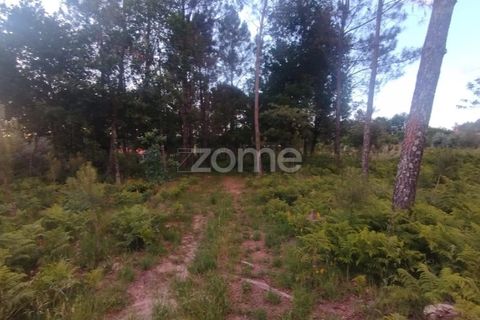 Helårsgrund i Mangualde, Viseu, Mangualde - € 35.000 | Ref: ZMPT589103 - foto 10