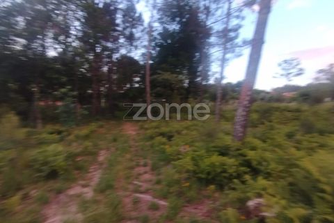 Helårsgrund i Mangualde, Viseu, Mangualde - € 35.000 | Ref: ZMPT589103 - foto 11