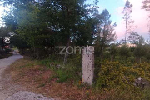 Helårsgrund i Mangualde, Viseu, Mangualde - € 35.000 | Ref: ZMPT589103 - foto 12