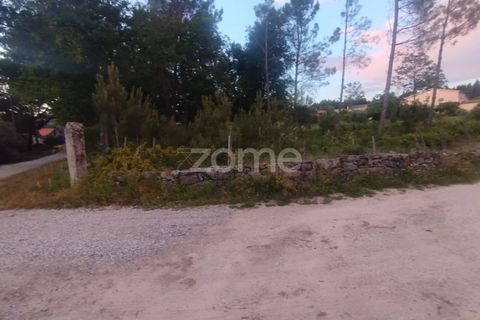 Helårsgrund i Mangualde, Viseu, Mangualde - € 35.000 | Ref: ZMPT589103 - foto 13