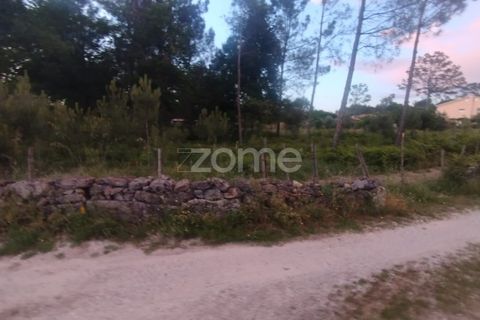 Helårsgrund i Mangualde, Viseu, Mangualde - € 35.000 | Ref: ZMPT589103 - foto 14