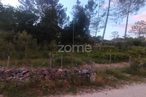 Helårsgrund i Mangualde, Viseu, Mangualde - € 35.000 | Ref: ZMPT589103 - foto 15