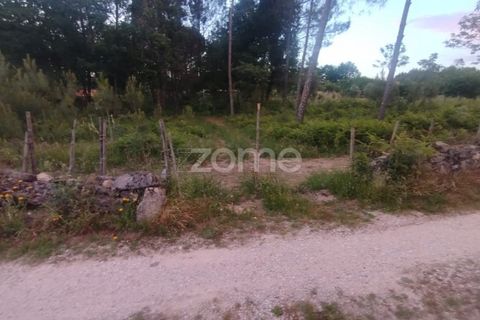 Helårsgrund i Mangualde, Viseu, Mangualde - € 35.000 | Ref: ZMPT589103 - foto 16