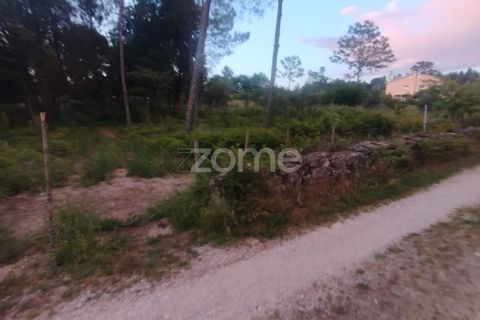 Helårsgrund i Mangualde, Viseu, Mangualde - € 35.000 | Ref: ZMPT589103 - foto 17