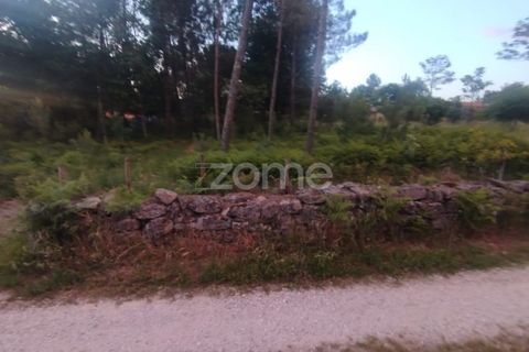 Helårsgrund i Mangualde, Viseu, Mangualde - € 35.000 | Ref: ZMPT589103 - foto 18