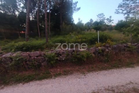 Helårsgrund i Mangualde, Viseu, Mangualde - € 35.000 | Ref: ZMPT589103 - foto 19