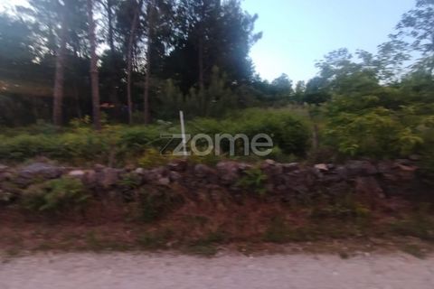 Helårsgrund i Mangualde, Viseu, Mangualde - € 35.000 | Ref: ZMPT589103 - foto 20