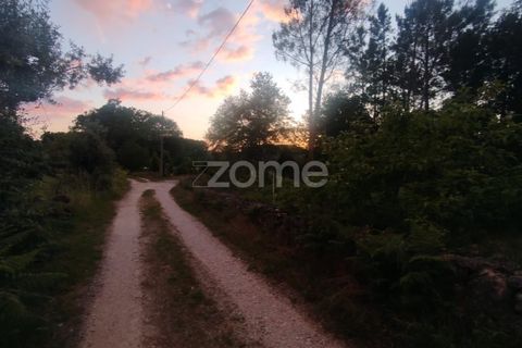 Helårsgrund i Mangualde, Viseu, Mangualde - € 32.500 | Ref: ZMPT589104 - foto 2