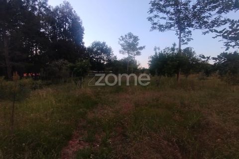 Helårsgrund i Mangualde, Viseu, Mangualde - € 32.500 | Ref: ZMPT589104 - foto 10