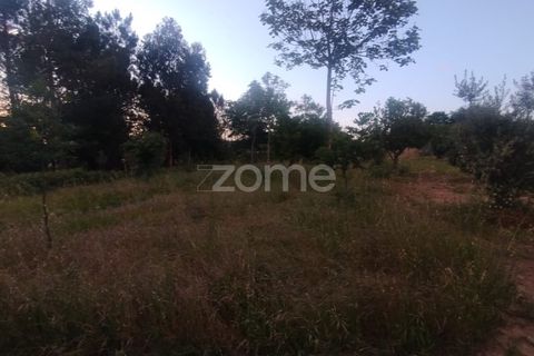 Helårsgrund i Mangualde, Viseu, Mangualde - € 32.500 | Ref: ZMPT589104 - foto 12