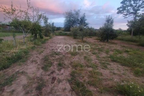 Helårsgrund i Mangualde, Viseu, Mangualde - € 32.500 | Ref: ZMPT589104 - foto 16