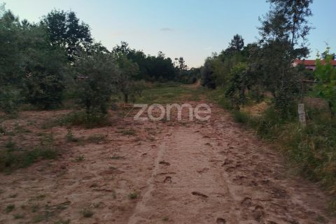 Helårsgrund i Mangualde, Viseu, Mangualde - € 29.500 | Ref: ZMPT589106 - foto 17