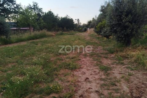 Helårsgrund i Mangualde, Viseu, Mangualde - € 29.500 | Ref: ZMPT589106 - foto 1