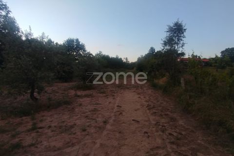 Helårsgrund i Mangualde, Viseu, Mangualde - € 29.500 | Ref: ZMPT589106 - foto 11