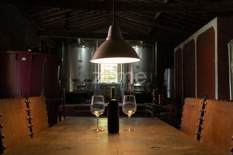 Farm i Miranda do Corvo, Coimbra, Miranda do Corvo - € 1.290.000 | Ref: ZMPT588985 - foto 2