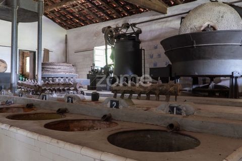 Farm i Miranda do Corvo, Coimbra, Miranda do Corvo - € 1.290.000 | Ref: ZMPT588985 - foto 3