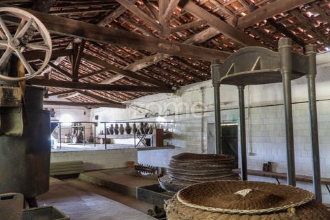 Farm i Miranda do Corvo, Coimbra, Miranda do Corvo - € 1.290.000 | Ref: ZMPT588985 - foto 4