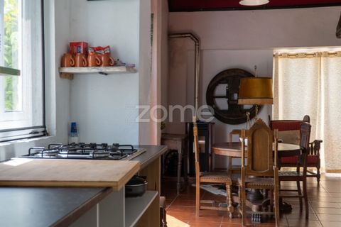 Farm i Miranda do Corvo, Coimbra, Miranda do Corvo - € 1.290.000 | Ref: ZMPT588985 - foto 11