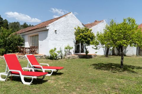 Farm i Miranda do Corvo, Coimbra, Miranda do Corvo - € 1.290.000 | Ref: ZMPT588985 - foto 19