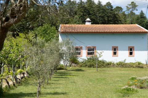 Farm i Miranda do Corvo, Coimbra, Miranda do Corvo - € 1.290.000 | Ref: ZMPT588985 - foto 21
