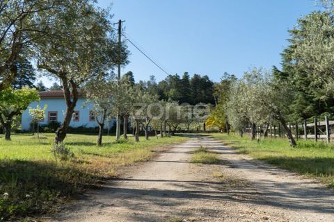 Farm i Miranda do Corvo, Coimbra, Miranda do Corvo - € 1.290.000 | Ref: ZMPT588985 - foto 22