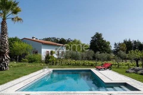 Farm i Miranda do Corvo, Coimbra, Miranda do Corvo - € 1.290.000 | Ref: ZMPT588985 - foto 35