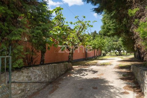 Farm i Miranda do Corvo, Coimbra, Miranda do Corvo - € 1.290.000 | Ref: ZMPT588985 - foto 38