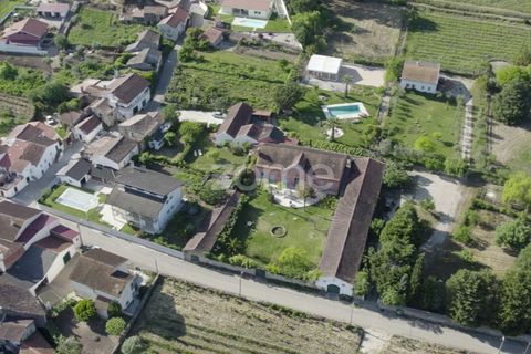Farm i Miranda do Corvo, Coimbra, Miranda do Corvo - € 1.290.000 | Ref: ZMPT588985 - foto 39