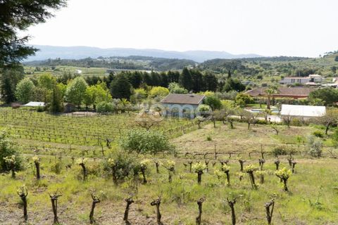 Farm i Miranda do Corvo, Coimbra, Miranda do Corvo - € 1.290.000 | Ref: ZMPT588985 - foto 41
