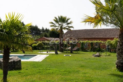 Farm i Miranda do Corvo, Coimbra, Miranda do Corvo - € 1.290.000 | Ref: ZMPT588985 - foto 43