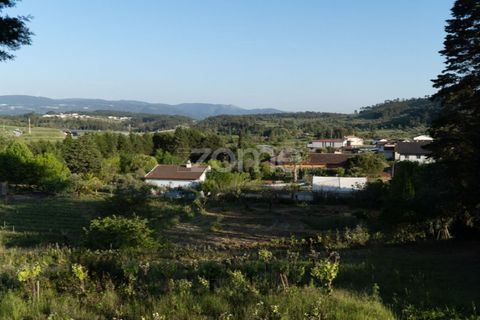 Farm i Miranda do Corvo, Coimbra, Miranda do Corvo - € 1.290.000 | Ref: ZMPT588985 - foto 44
