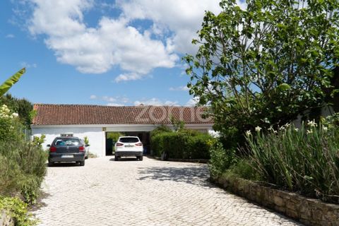 Farm i Miranda do Corvo, Coimbra, Miranda do Corvo - € 1.290.000 | Ref: ZMPT588985 - foto 45