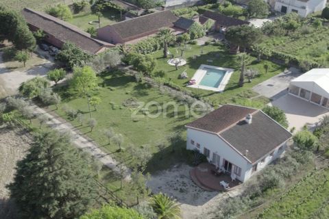 Farm i Miranda do Corvo, Coimbra, Miranda do Corvo - € 1.290.000 | Ref: ZMPT588985 - foto 47