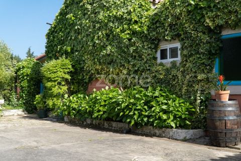 Farm i Miranda do Corvo, Coimbra, Miranda do Corvo - € 1.290.000 | Ref: ZMPT588985 - foto 48