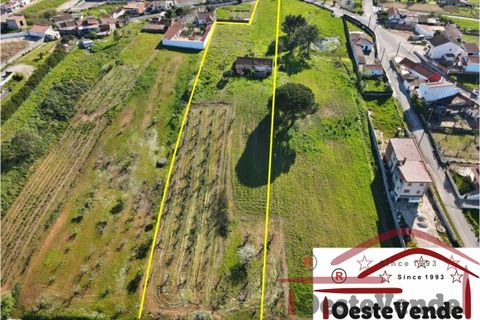 Villa i Cadaval, Lisbon, Cadaval - € 325.000 | Ref: 012-2026 - foto 7
