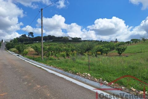 Villa i Cadaval, Lisbon, Cadaval - € 325.000 | Ref: 012-2026 - foto 21