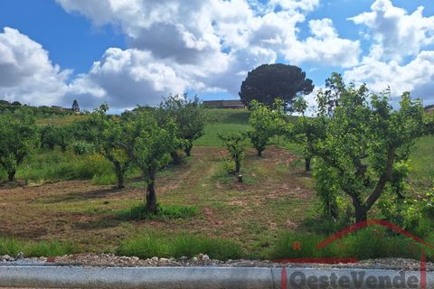 Villa i Cadaval, Lisbon, Cadaval - € 325.000 | Ref: 012-2026 - foto 22