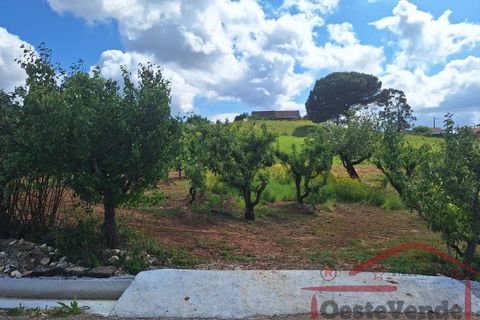 Villa i Cadaval, Lisbon, Cadaval - € 325.000 | Ref: 012-2026 - foto 23