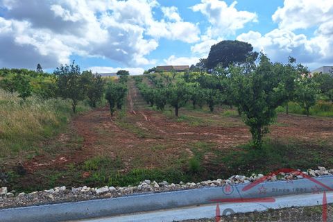Villa i Cadaval, Lisbon, Cadaval - € 325.000 | Ref: 012-2026 - foto 24