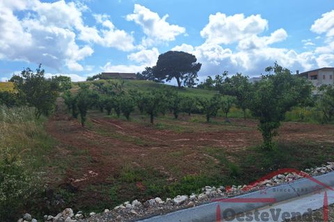 Villa i Cadaval, Lisbon, Cadaval - € 325.000 | Ref: 012-2026 - foto 26