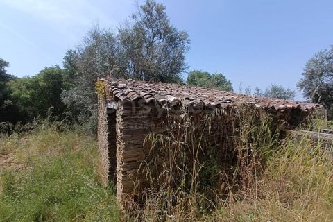 Villa i Serra, Santarem, Serra - € 166.000 | Ref: TM99273 - foto 11