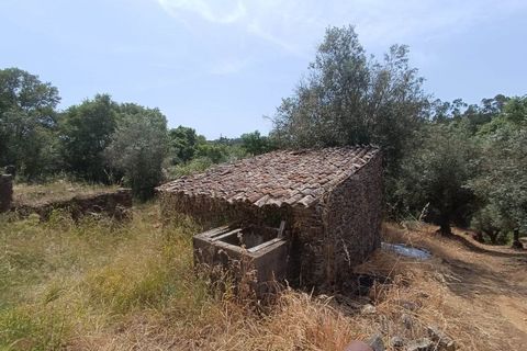 Villa i Serra, Santarem, Serra - € 166.000 | Ref: TM99273 - foto 12