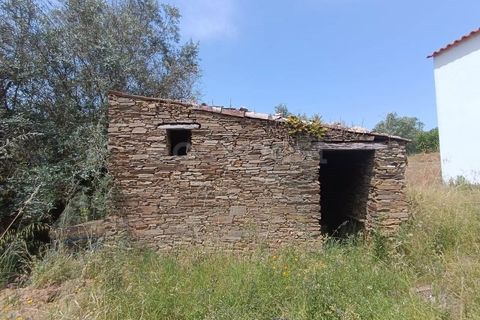 Villa i Serra, Santarem, Serra - € 166.000 | Ref: TM99273 - foto 13