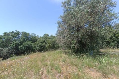 Villa i Serra, Santarem, Serra - € 166.000 | Ref: TM99273 - foto 14