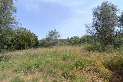 Villa i Serra, Santarem, Serra - € 166.000 | Ref: TM99273 - foto 15