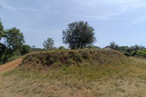 Villa i Serra, Santarem, Serra - € 166.000 | Ref: TM99273 - foto 16